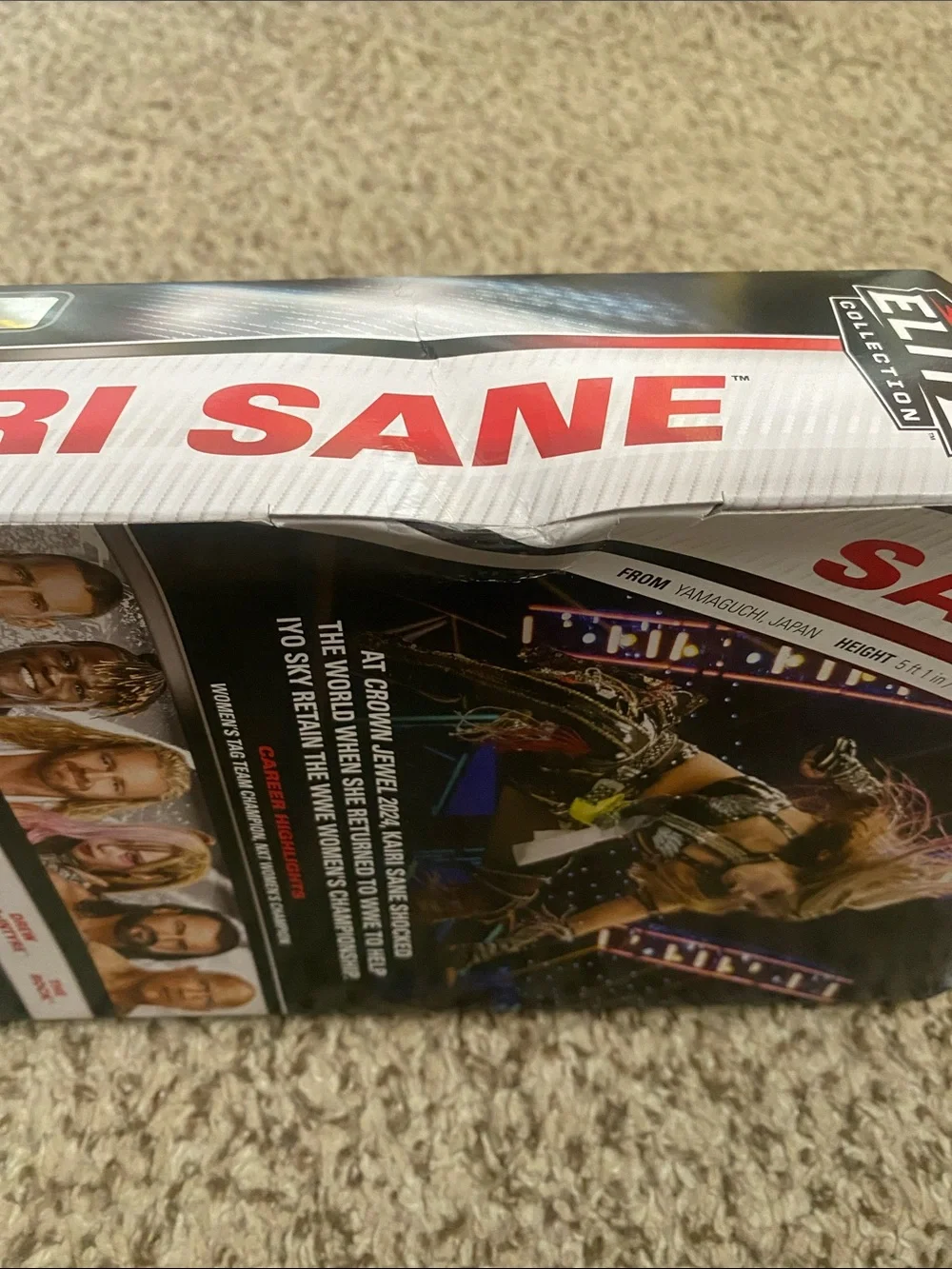 NIB WWE Elite Series 115 Kairi Sane Articulated Collectible Action Figure